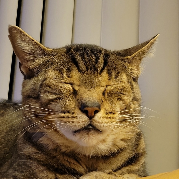 Meet your Posher, Todd - Picture 7 of 8